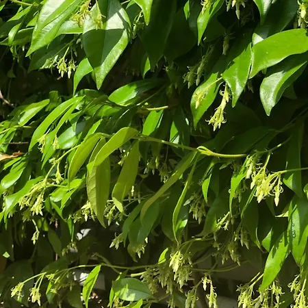 アパート La Tana Dei Dalmatini サン・ベネデット・デル・トロント