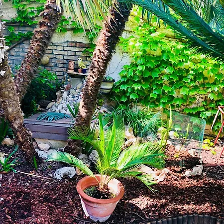 La Tana Dei Dalmatini