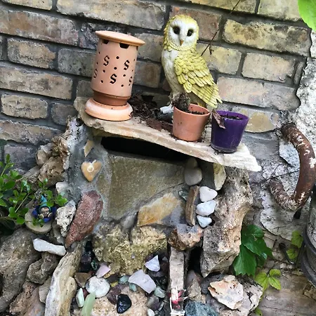 La Tana Dei Dalmatini サン・ベネデット・デル・トロント