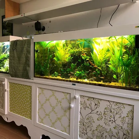 Apartamento La Tana Dei Dalmatini