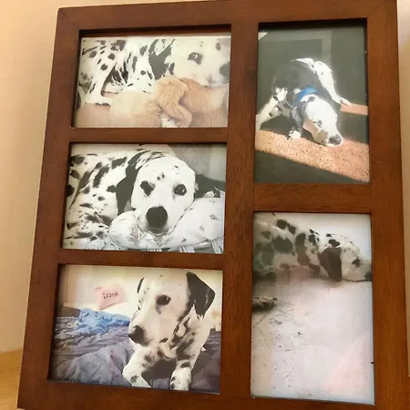 La Tana Dei Dalmatini