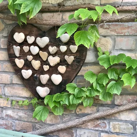 דירה La Tana Dei Dalmatini סן בנדטו דל טרנטו