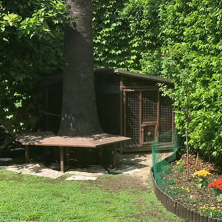 La Tana Dei Dalmatini San Benedetto del Tronto